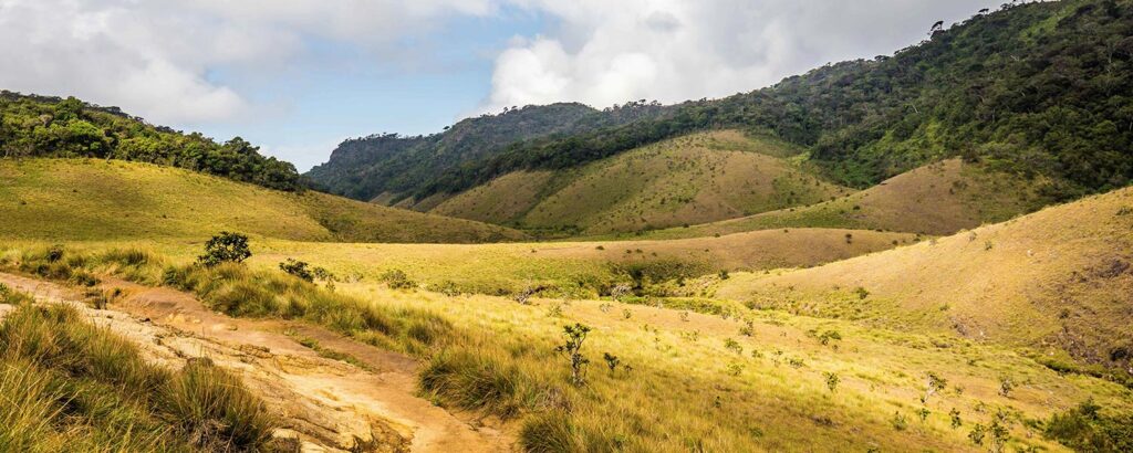horton-slider-3-1 hortonPlains
